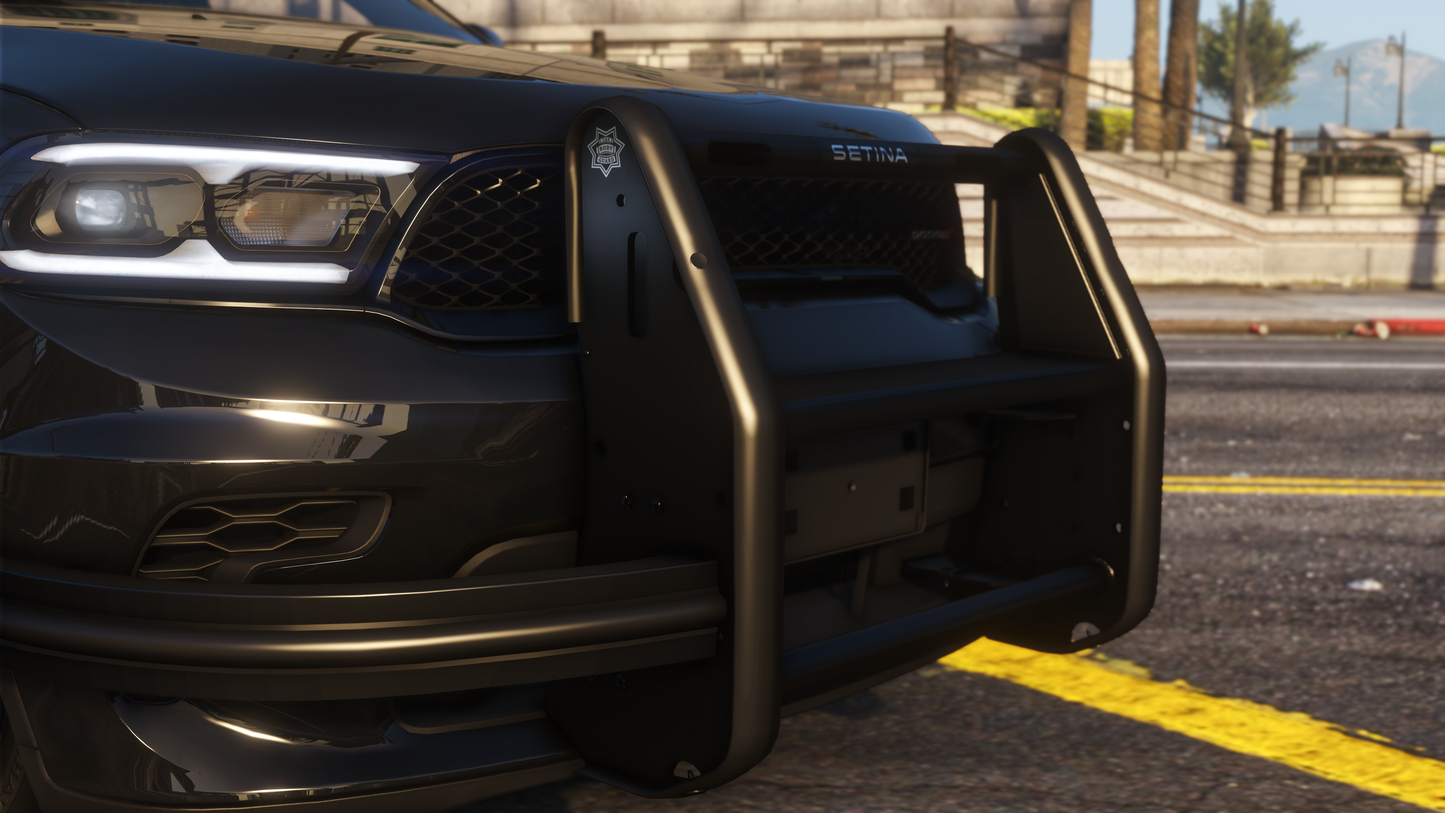 2021-2025 Police Pursuit Package Pushbar