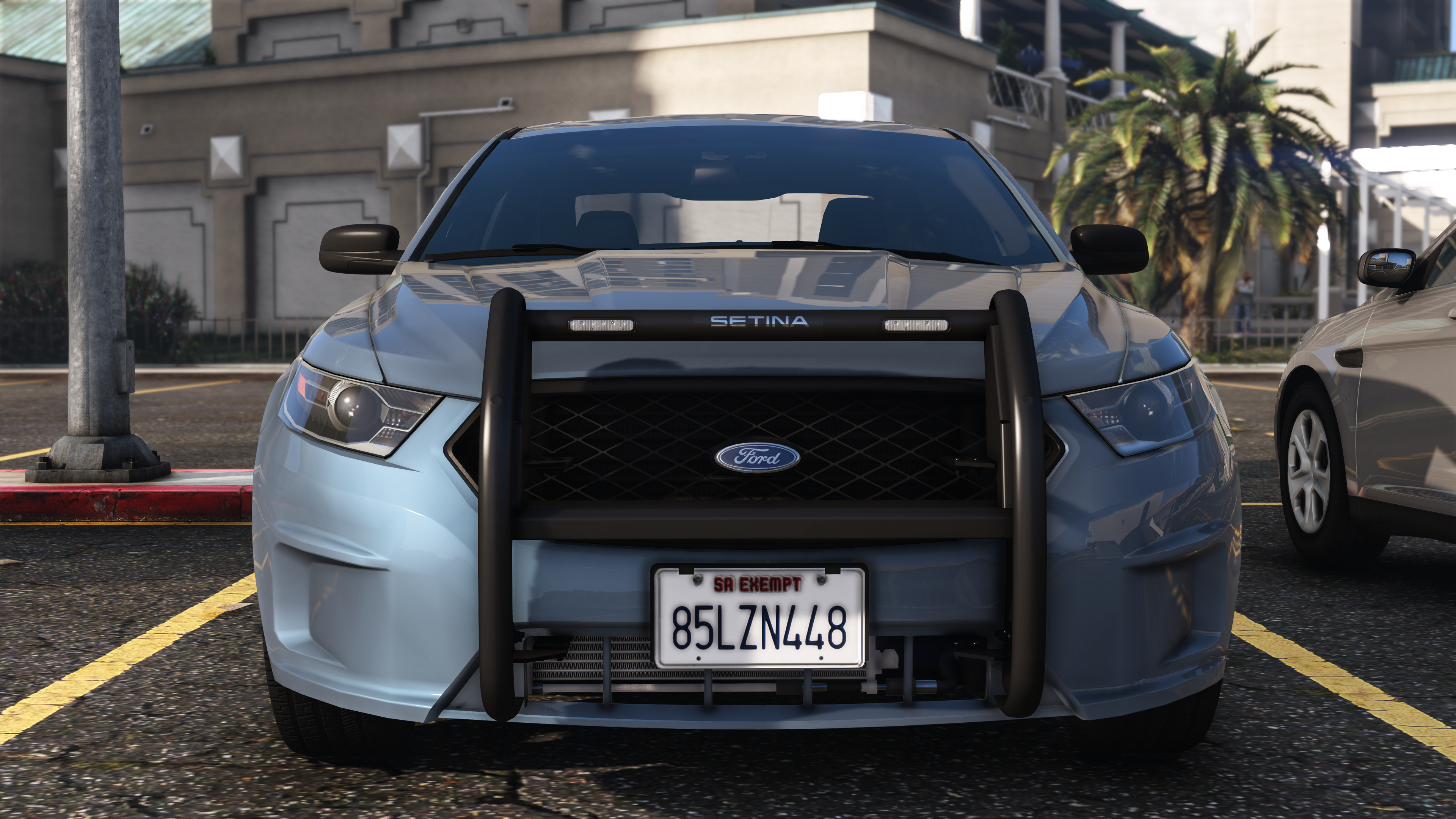 Ford taurus police push top bar